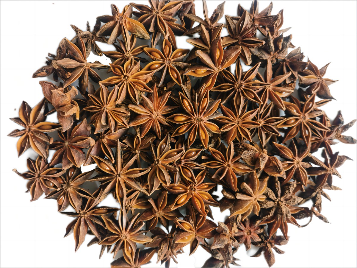 Star Anise.png