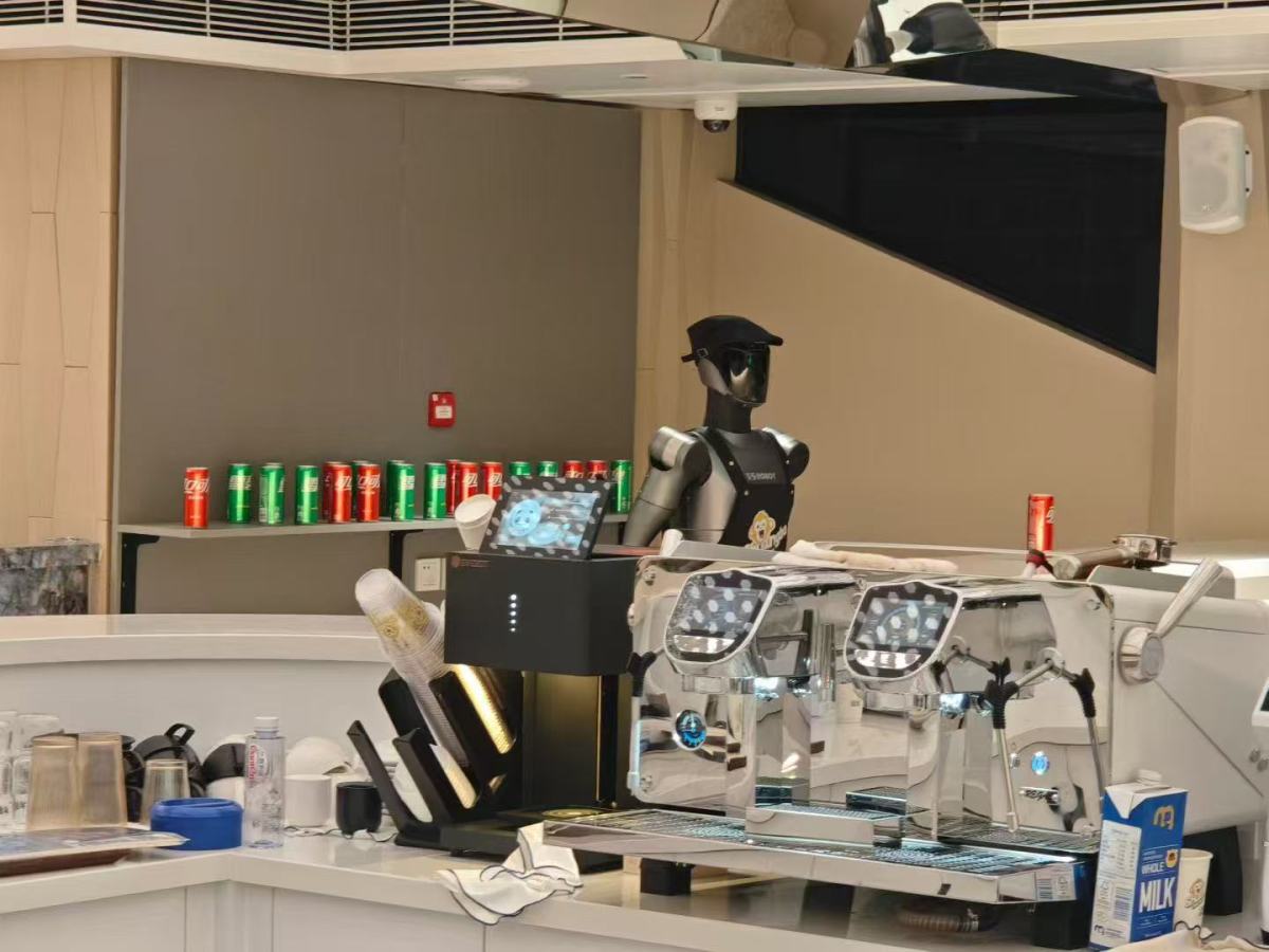 humanoid robot humanoid robot