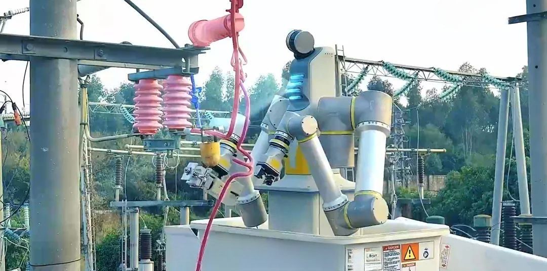 Distribution network operation robot