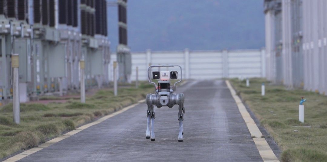 Robot dog