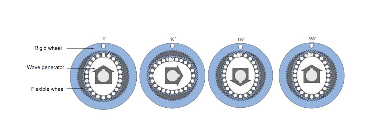 Flexible wheel Flexible wheel