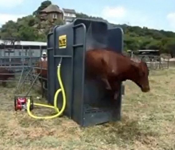 Máquina de lavado de ganado