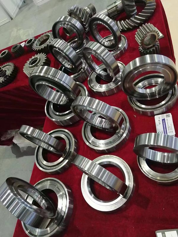 Exposição7