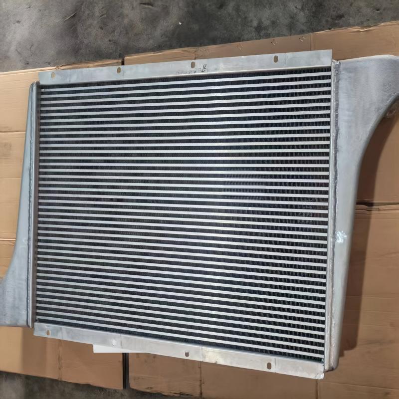 Conjunto de intercooler SINOTRUK HOWO WG9719530250 arrefecedor do ar de admissão do motor para motor WD615