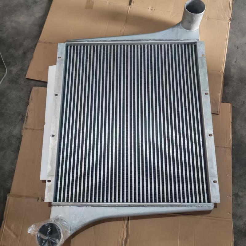 Conjunto de intercooler SINOTRUK HOWO WG9719530250 arrefecedor do ar de admissão do motor para motor WD615
