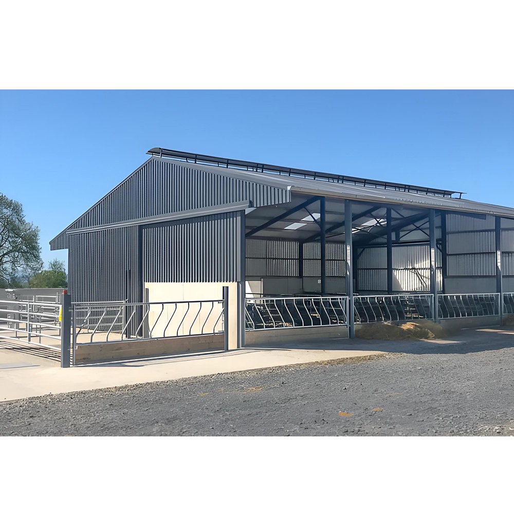 Casa de granja con estructura de acero & cobertizo para ganado