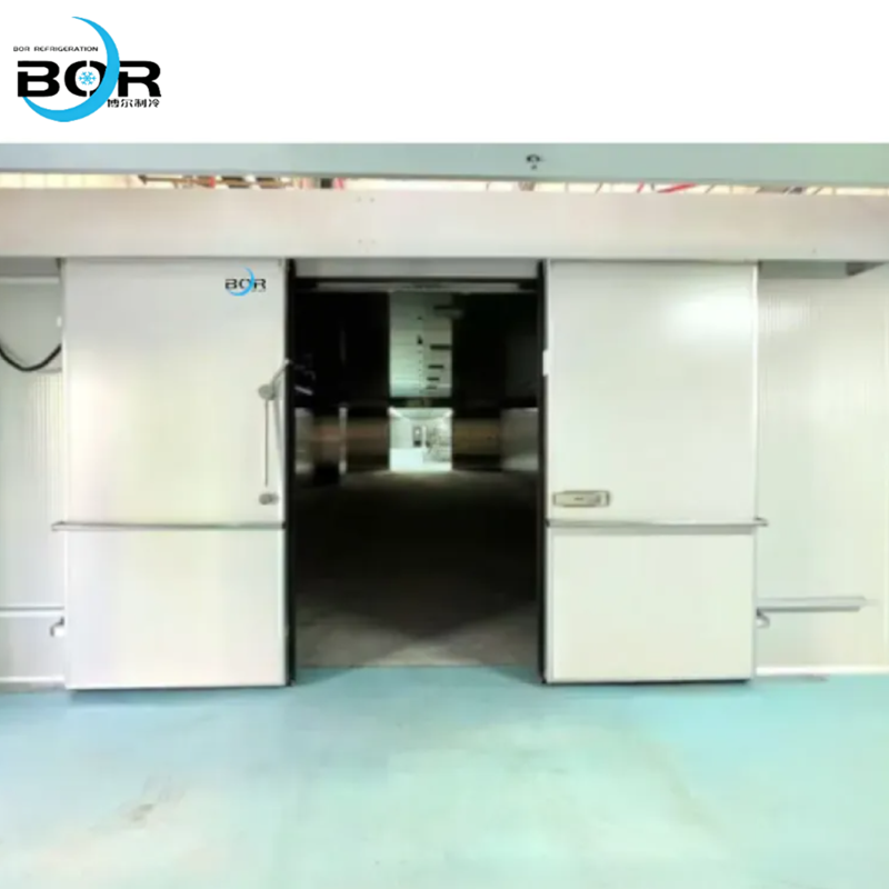 Porta deslizante elétrica (especificamente para câmaras frigoríficas)