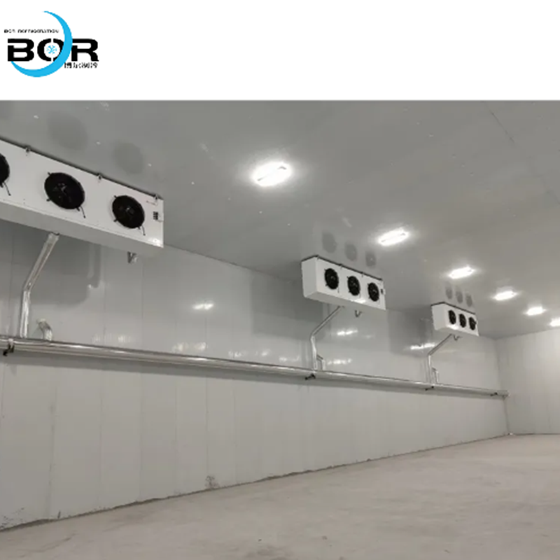 Câmara frigorífica para logística da cadeia de frio e câmara frigorífica funcional