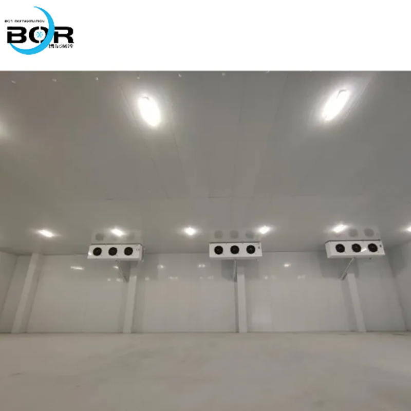 Câmara frigorífica para logística da cadeia de frio e câmara frigorífica funcional