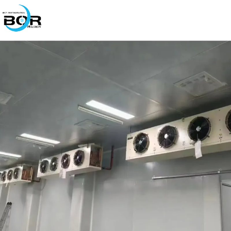 Câmara frigorífica para logística da cadeia de frio e câmara frigorífica funcional