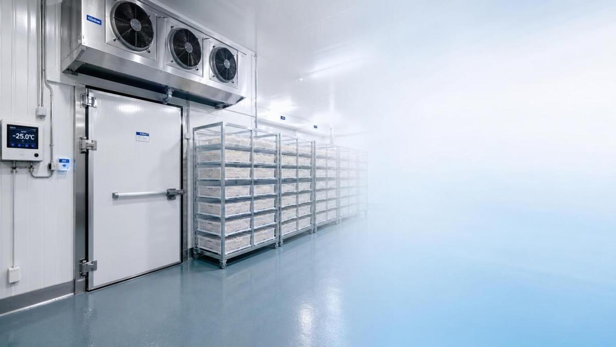 What Food Safety Standards Apply to a Quick-Freezing Cold Room? Quais normas de segurança dos alimentos se aplicam a uma câmara de congelamento rápido?