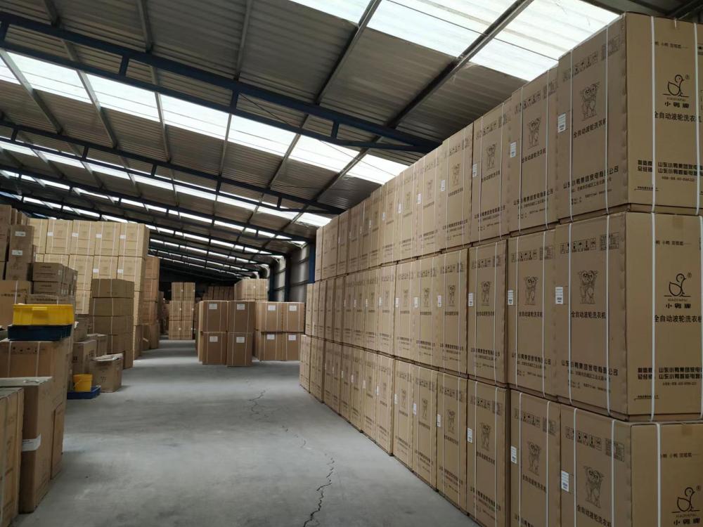 证书图片 5