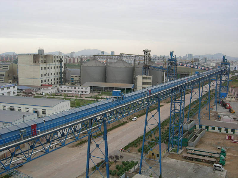 Bulk Grain Conveyor System Project
