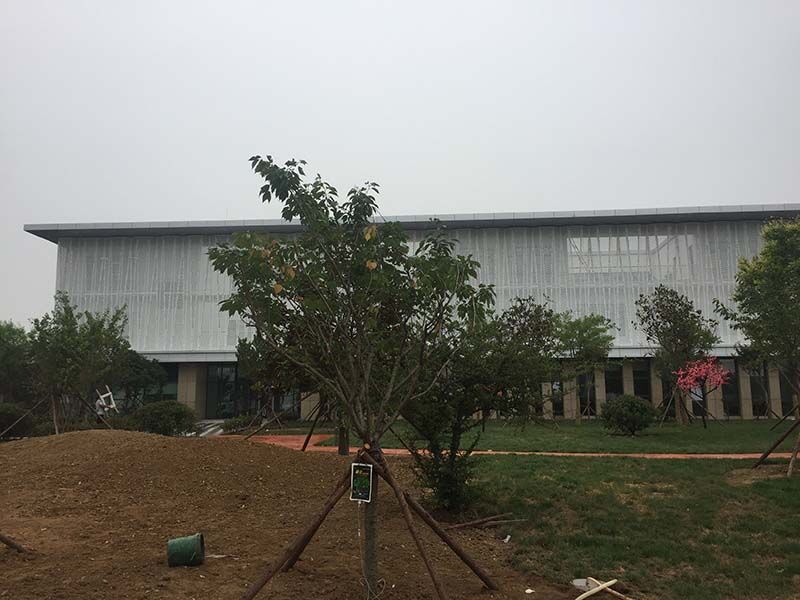 Lanshan District Government Restaurant Project