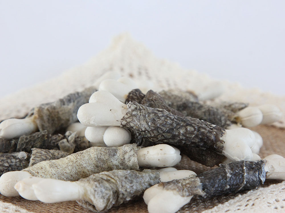 DD147-Calcium bone twined by fish skin