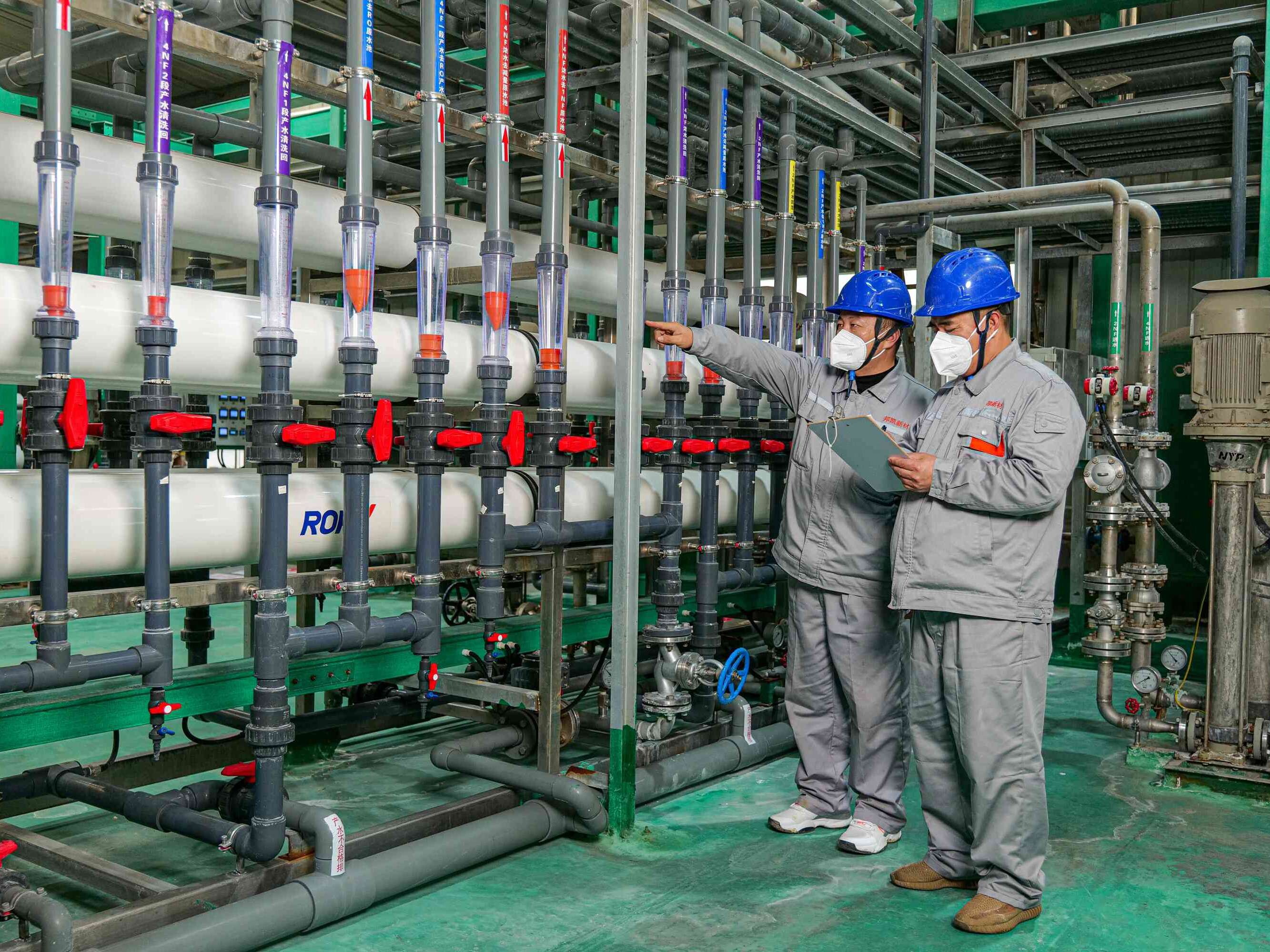 3 (2016 1512)(1).jpg