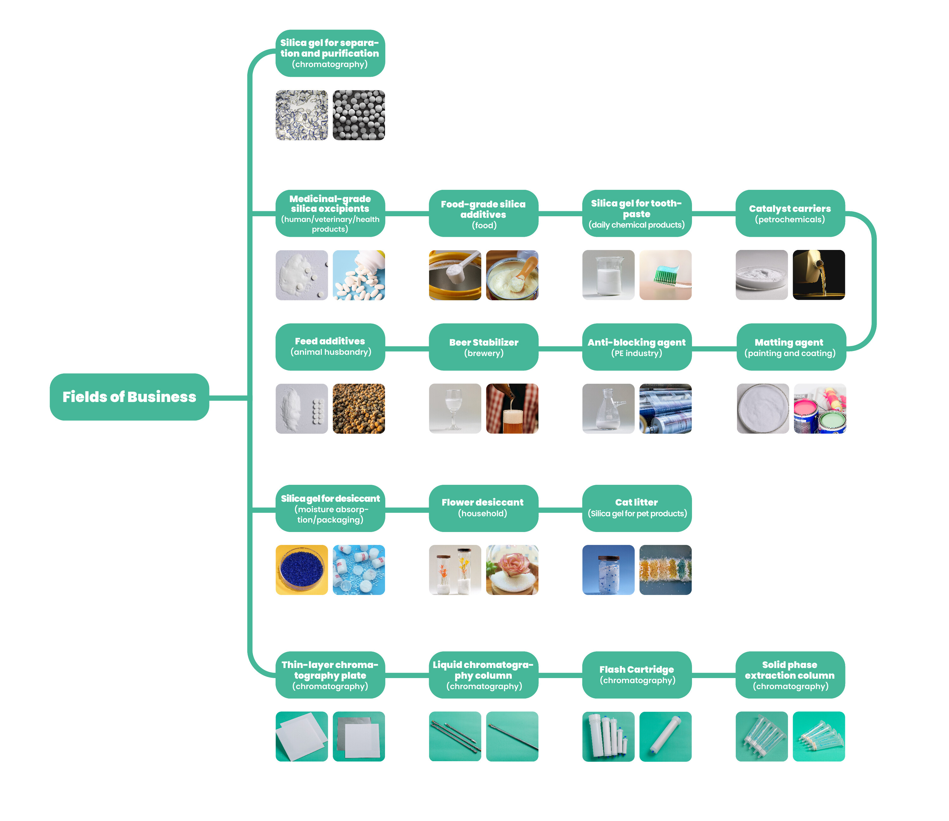 Campo de la empresa.jpg