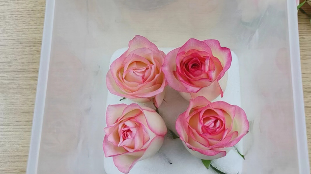鲜花干燥剂2-2.jpg 鲜花干燥剂2-2.jpg