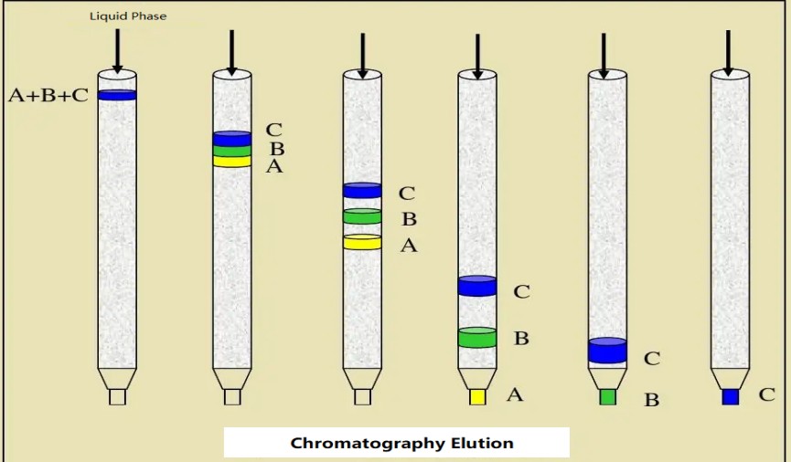 Chromatography.png Chromatography.png
