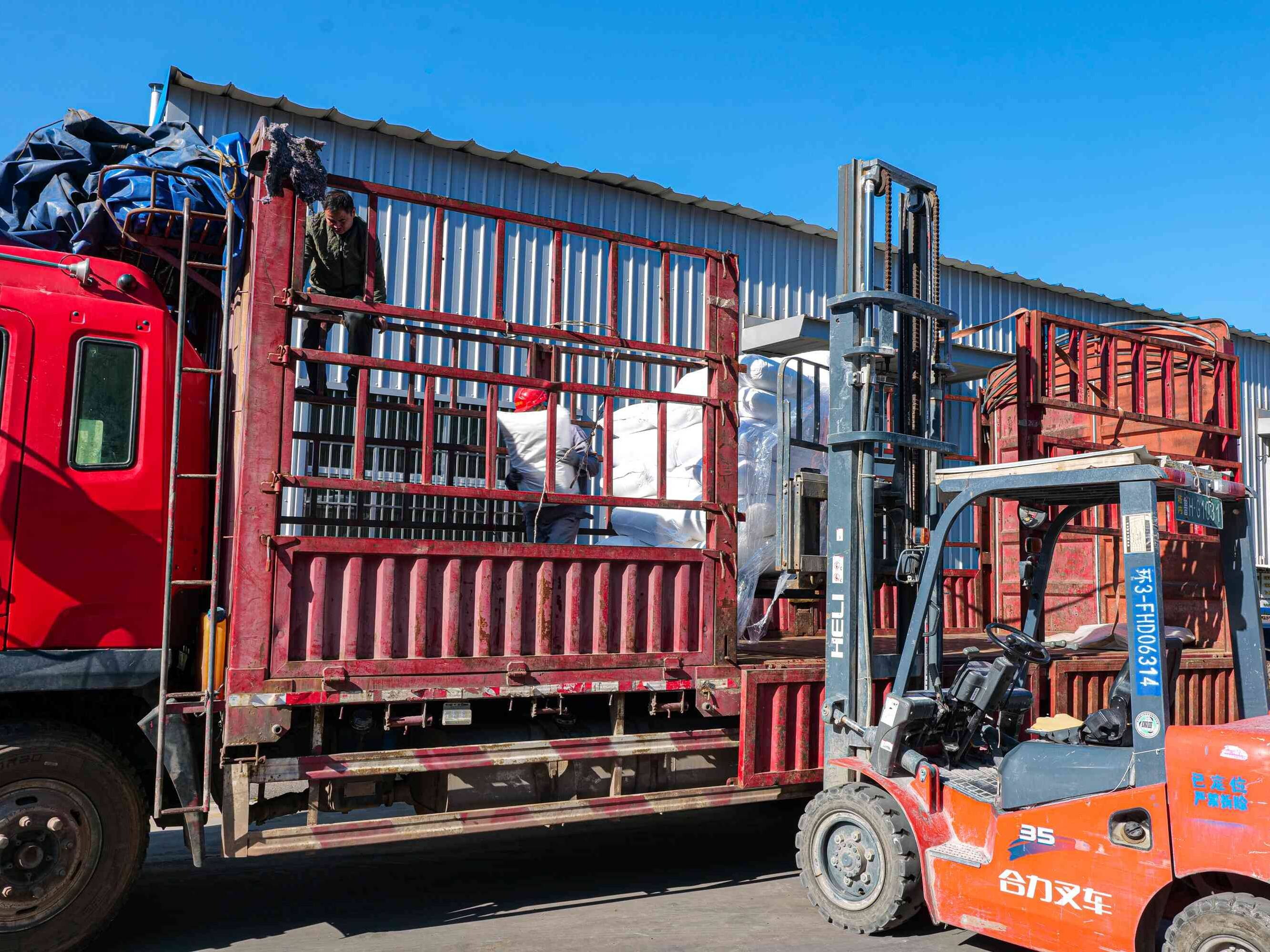 5 (2016 1512)(1).jpg