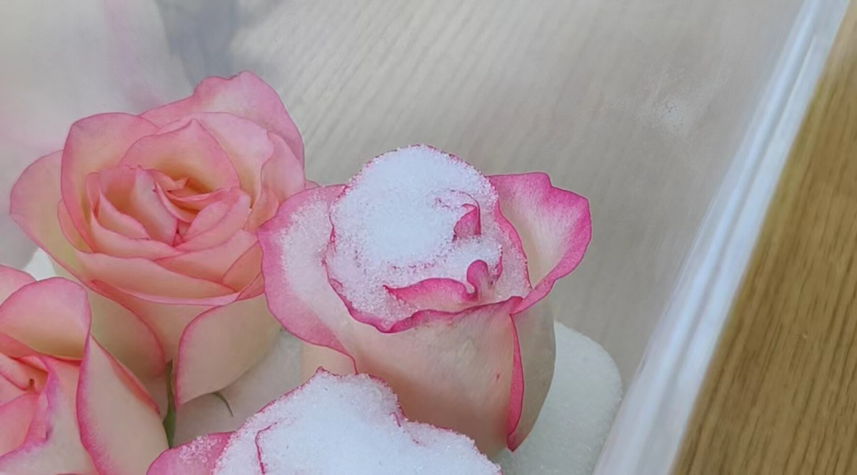 鲜花干燥剂2-3.jpg 鲜花干燥剂2-3.jpg