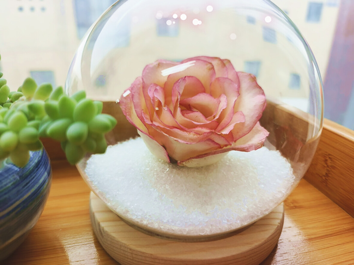 鲜花干燥剂3-2.jpg 鲜花干燥剂3-2.jpg