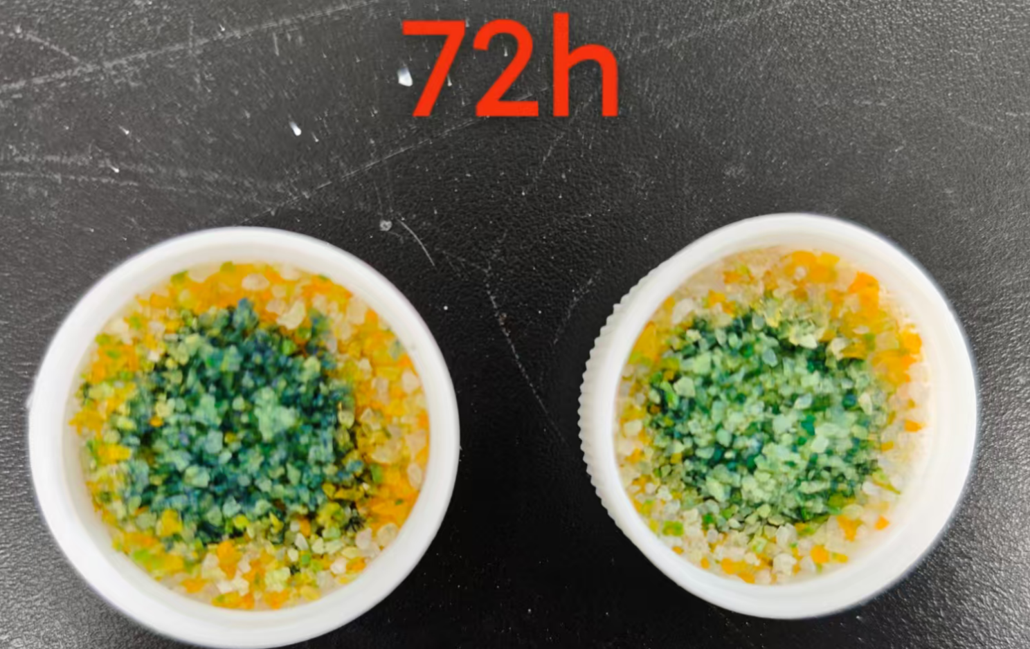 Détection de sang occulte dans la litière du chat