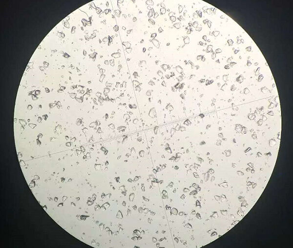 Combien y a-t-il de types d'hydroxyles de surface à la surface de la silice ?