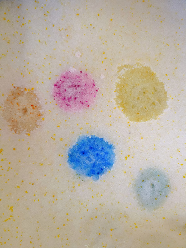 Pourquoi votre chat évite-t-il sa litière ?