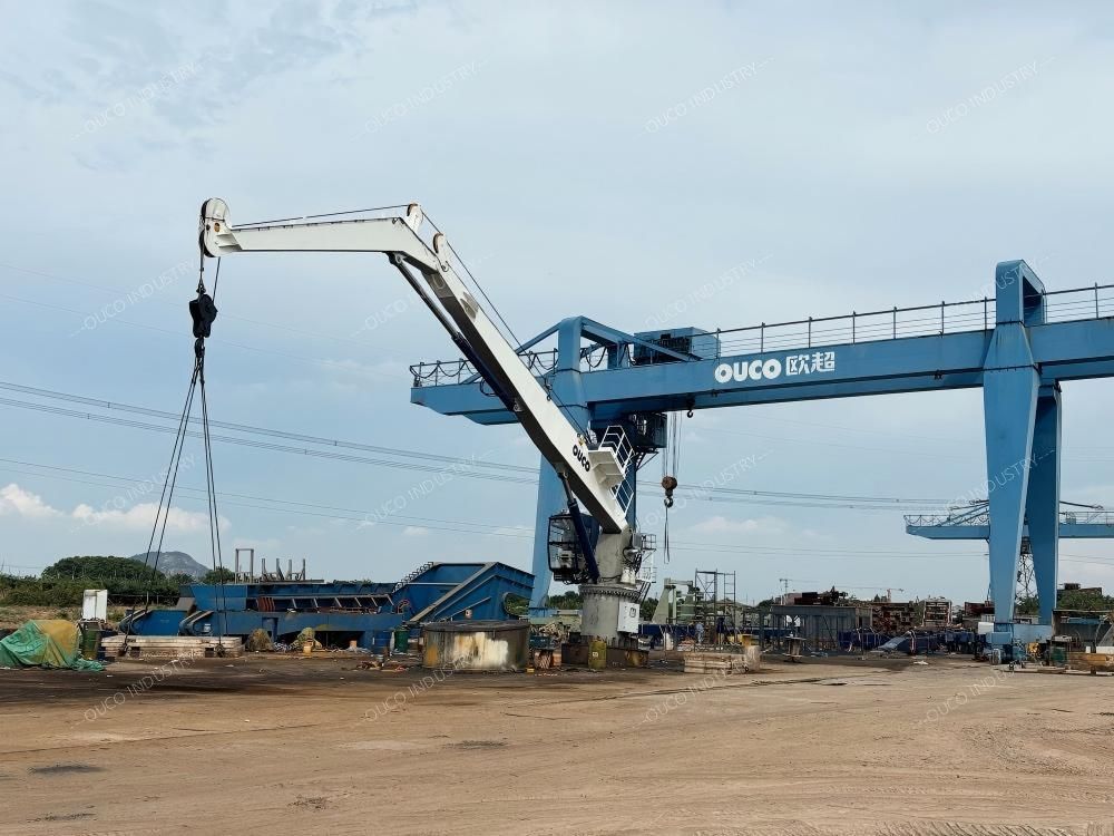 OUCO-10T20M-KB Crane (2)
