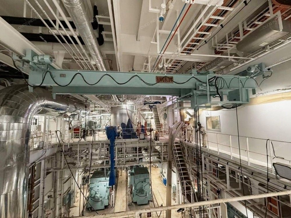 engine room overhead crane detailed pictures (1)