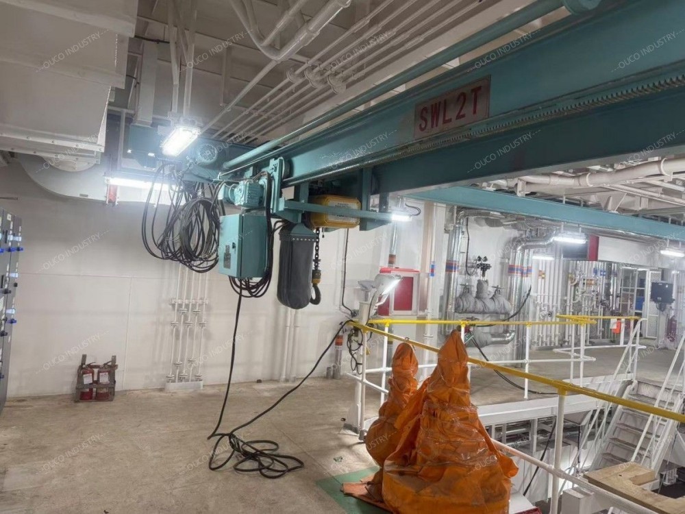 engine room overhead crane detailed pictures (9)