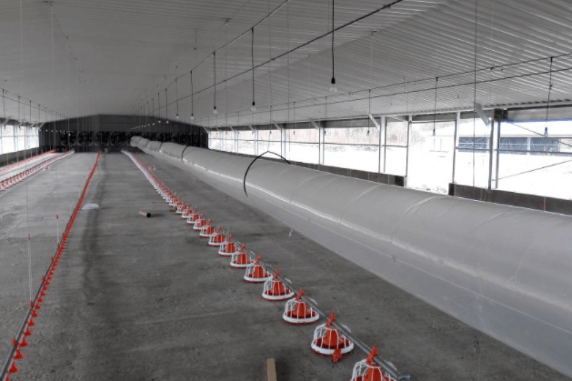 Maison de poulets de chair