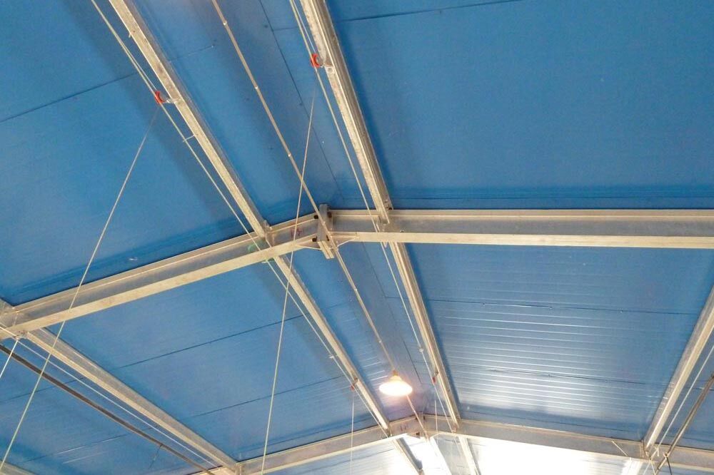 Poulet Maison Angola