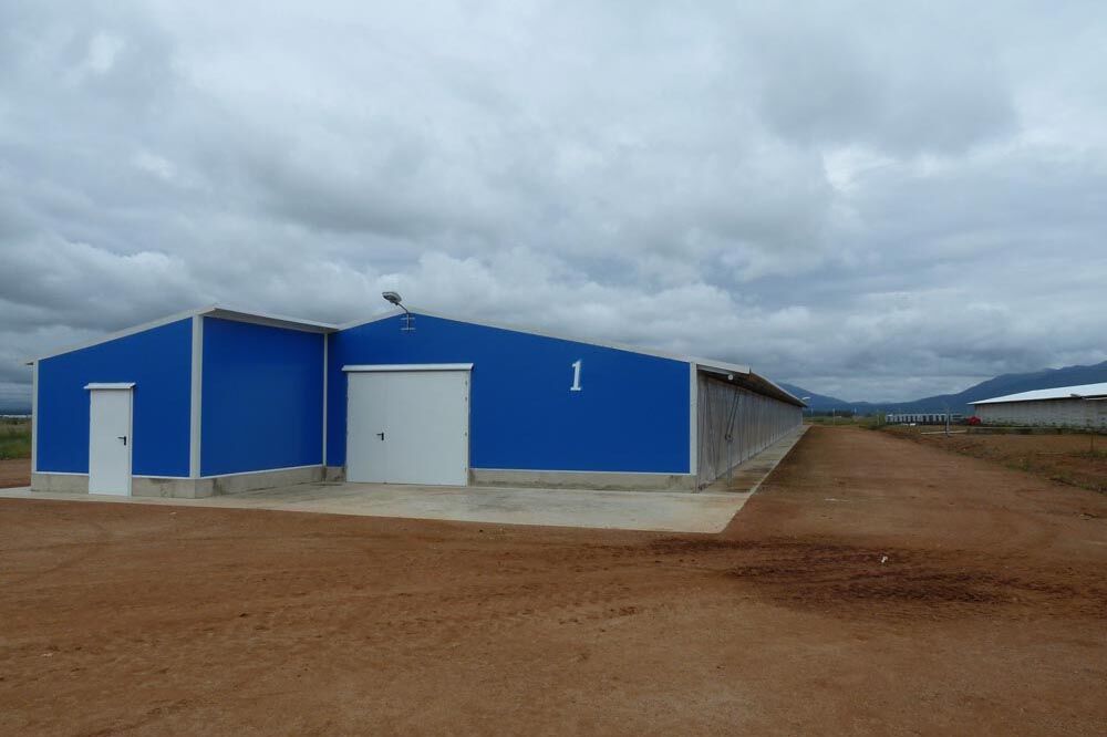 Poulet Maison Angola