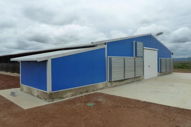 Poulet Maison Angola