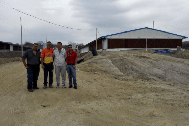 Casa de pollos de engorde