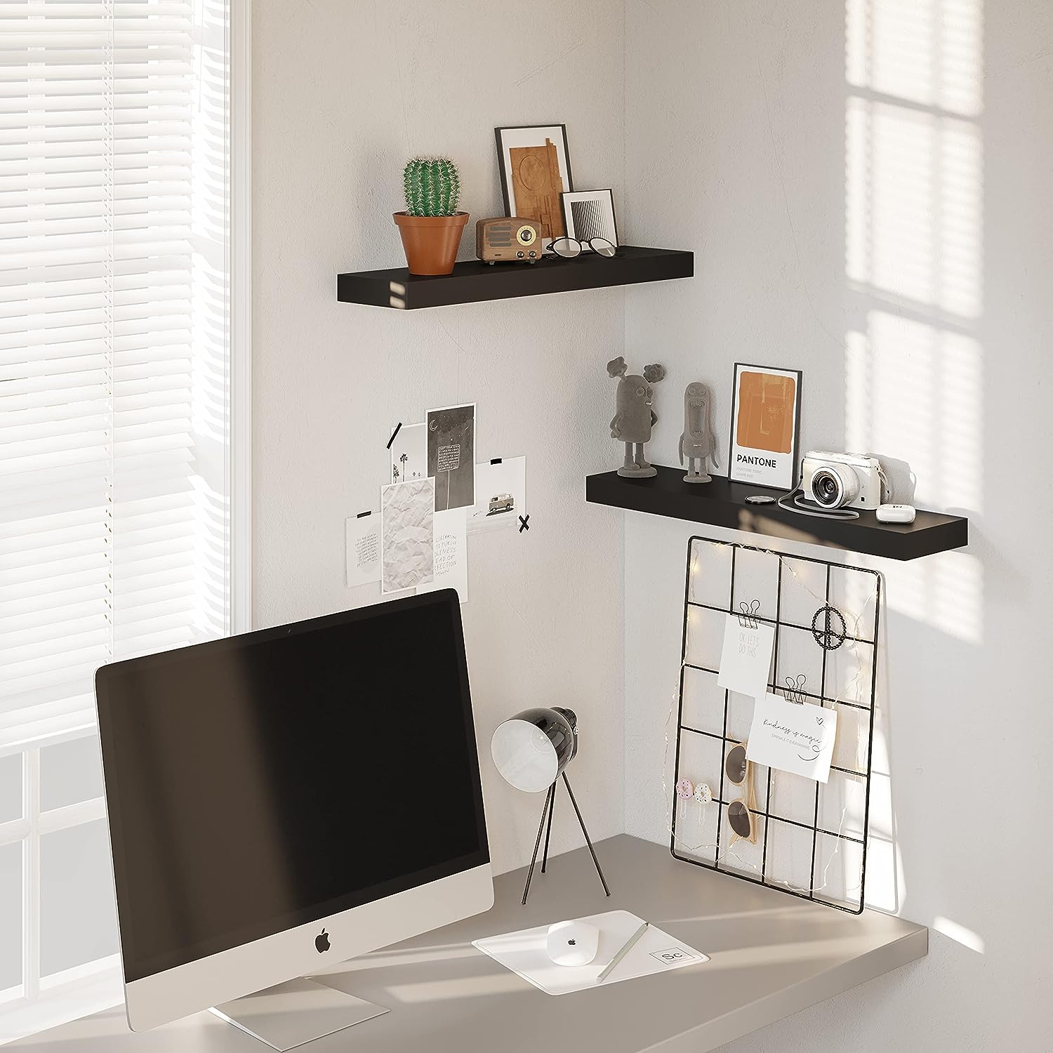 Wirtschaftliche schwebende Regale