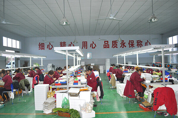 Como escolher um bom movimento para manômetro?