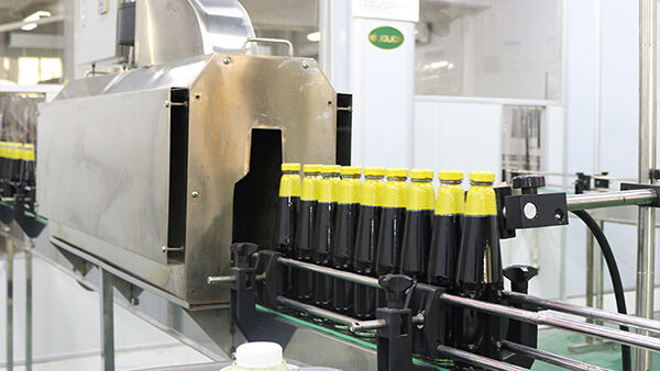 雷竞技下载app官网jolion酱雷电竞官网网址油制造商