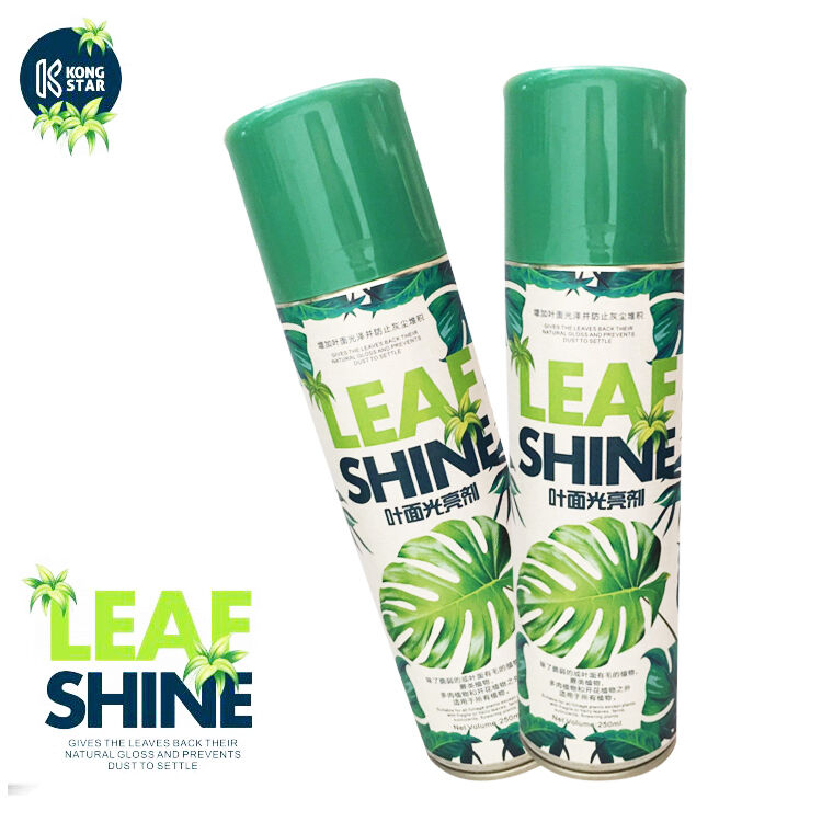 Spray para pulir plantas