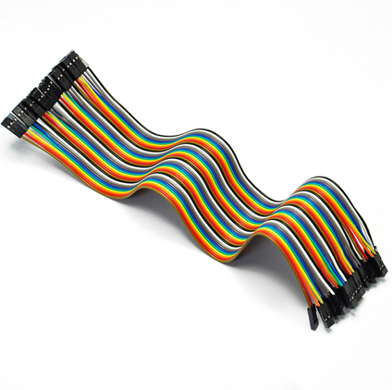 Kundenspezifische JST-Kabelbaugruppe 2-polig f bis f 30 cm Stecker Steckerverlängerung DuPont Kundenspezifische JST-Kabelbaugruppe 2-polig f bis f 30 cm Stecker Steckerverlängerung DuPont