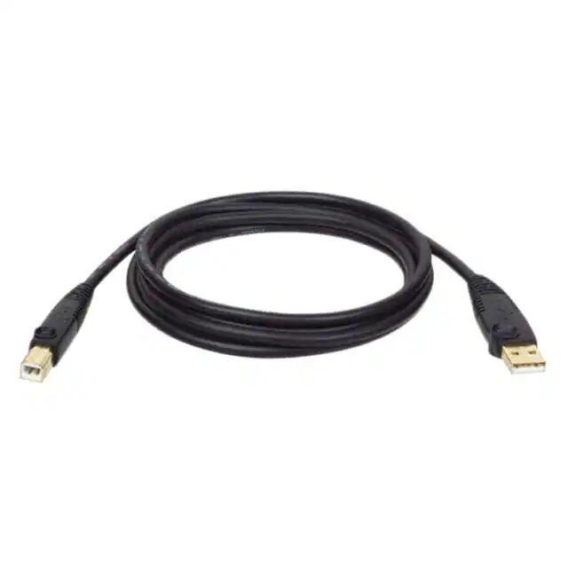 Fortschrittliches doppelt geschirmtes USB 2.0 Goldkabel USB-A auf USB-B für die Datenübertragung Fortschrittliches doppelt geschirmtes USB 2.0 Goldkabel USB-A auf USB-B für die Datenübertragung