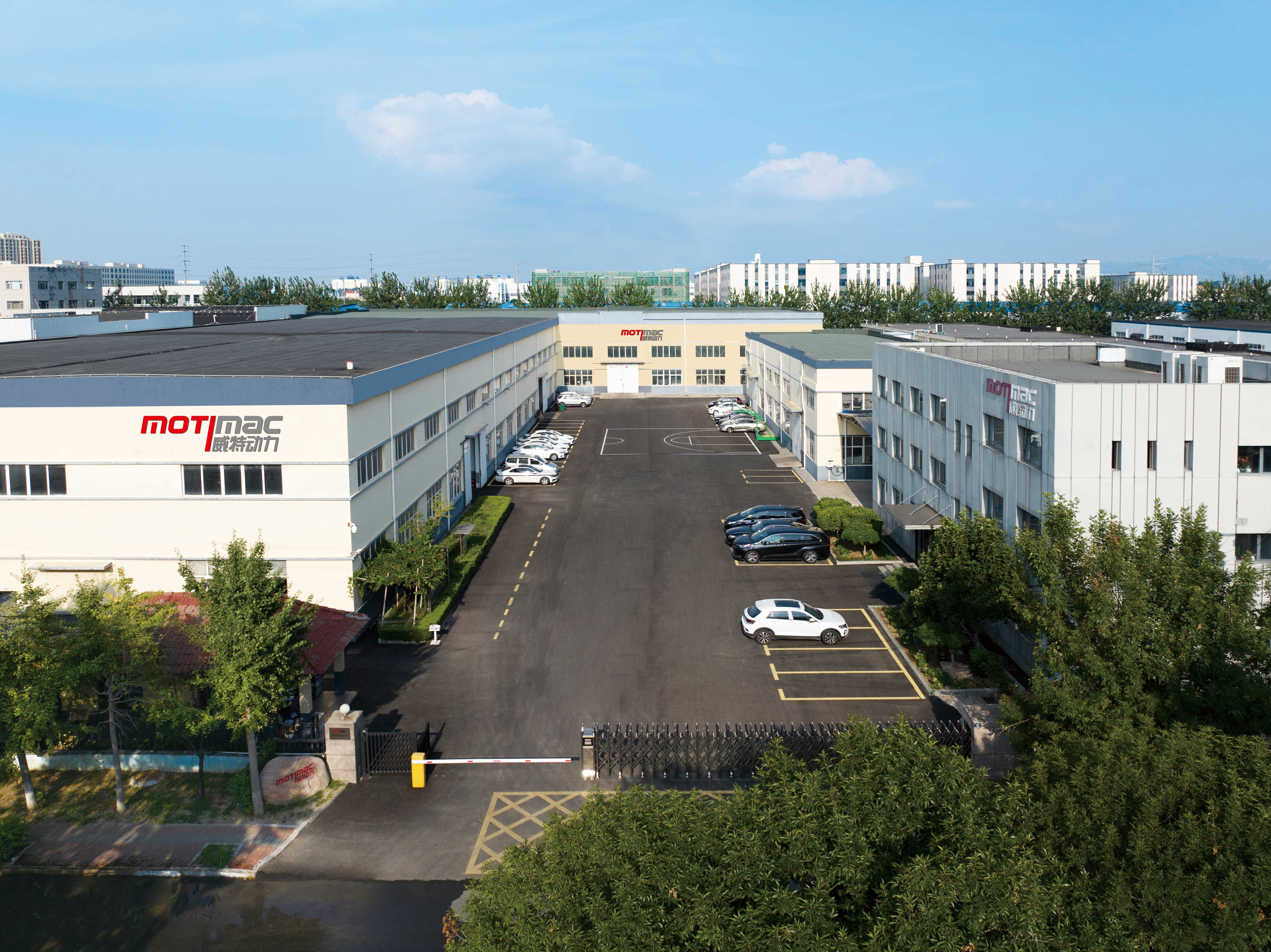 Desde Raíces en la Carpintería hasta Soluciones Modernas de Lijado