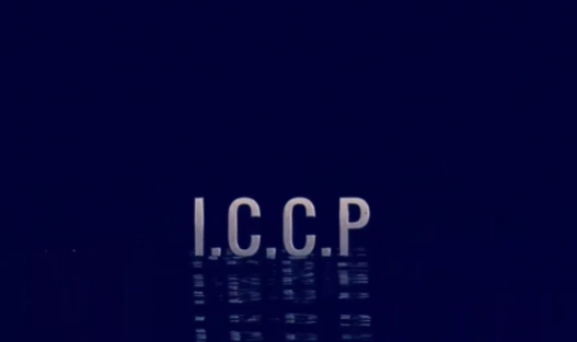 Dispositif de protection cathodique à courant imposé - ICCP