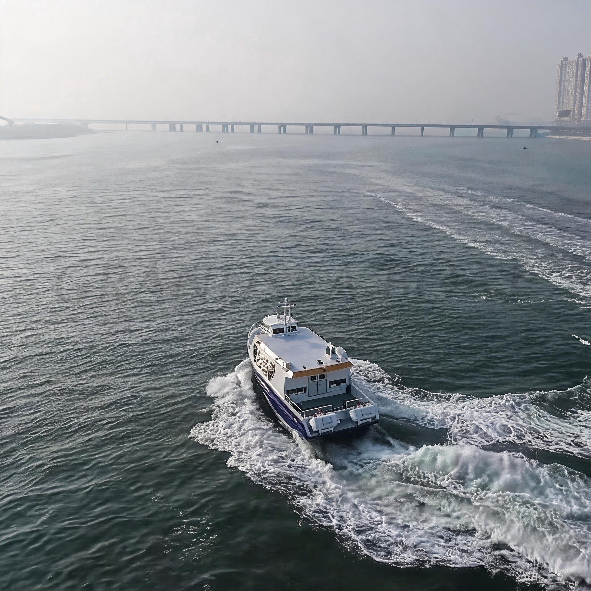 Ferry de pasajeros de aluminio Grandsea de 42 pies para 30 personas en venta