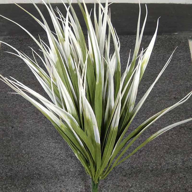 JF2-06 Simulated Xyridaceae Xyris Pauciflora Bundles JF2-06 Simulated Xyridaceae Xyris Pauciflora Bundles