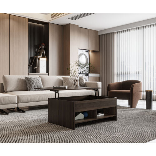 Mesa de centro elevable con almacenamiento oculto y 2 estantes abiertos para sala de estar, sala de recepción, oficina