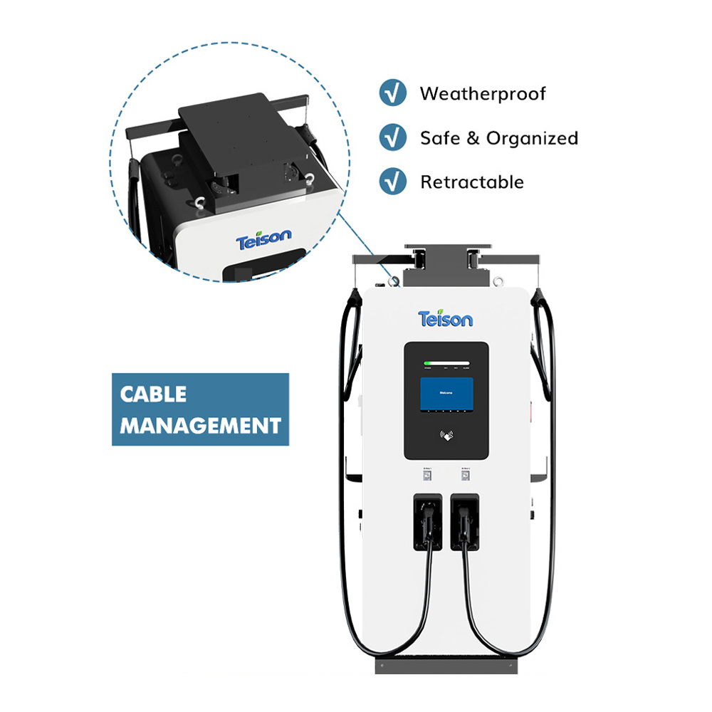 Immagine principale 4