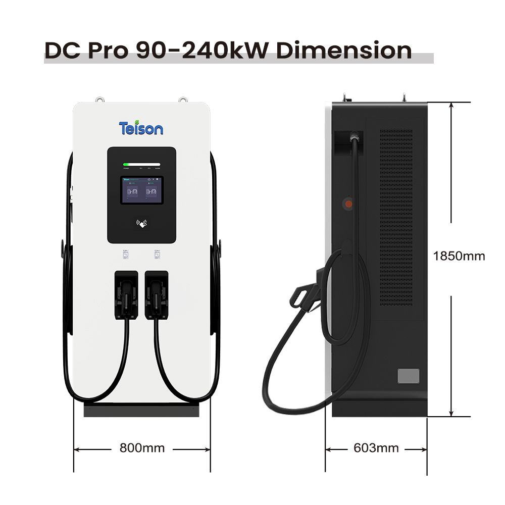 Immagine principale 7